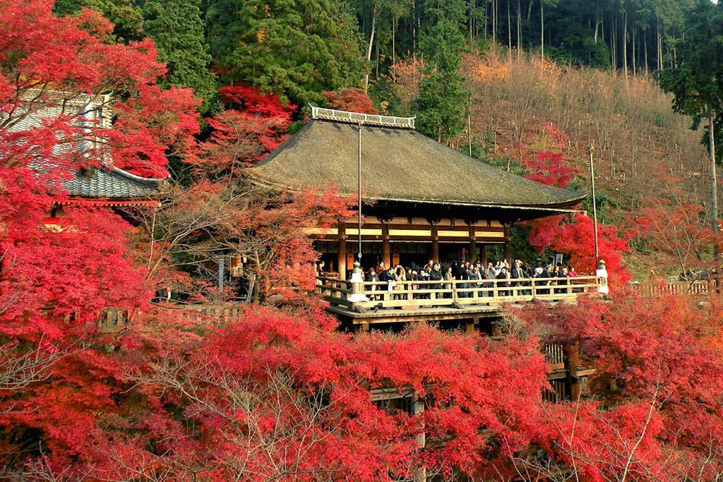 Rin Kyoto Kinkaku-Ji Temple Villa Eksteriør billede